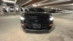 2015 FORD MUSTANG full